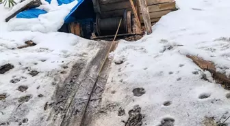 Zonguldak'ta 5 kaçak maden ocağı imha edildi