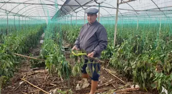 Antalya'da tarım alanlarını su bastı; mahsur kalanlar, iş makinesi ve botlarla kurtarıldı