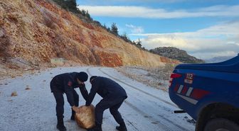 Harmankaya Kanyonu Tabiat Parkı yoluna kaya parçaları düştü