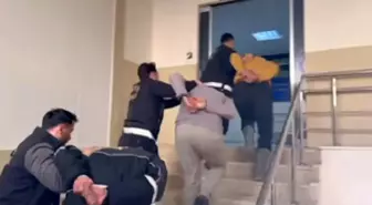 Hatay'da nitelikli yağma operasyonu: 4 tutuklama