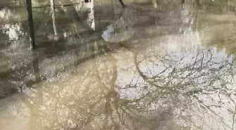 Çeşme'de sağanak etkili oldu; pazaryeri ve mezarlık su altında kaldı