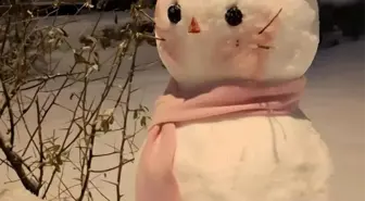 Diyarbakır'ın en güzel kardan adamı seçildi