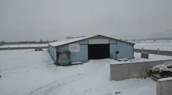 Erzincanlı genç girişimci devlet desteğiyle geleneksel hayvancılıktan modern üretime geçti