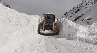 Hakkari'de mezra yoluna düşen çığ temizlendi
