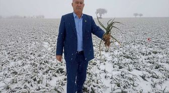 Kar yağışı çiftçileri sevindirdi