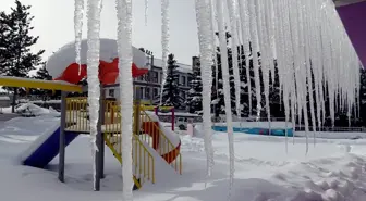 Kars ve Ardahan'da soğuk hava etkili oluyor