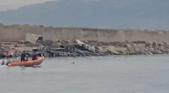 Limanda mahsur kalan yunus kurtarıldı