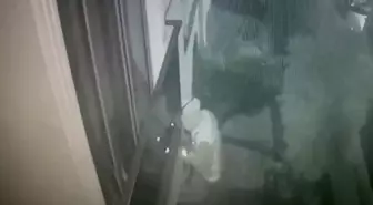 Pendik'te eve girip anahtarı çaldı, otomobile benzin alırken yakalandı