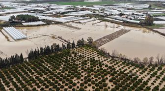 'Sarı kod'la uyarılan Antalya'da tarım alanları su altında kaldı