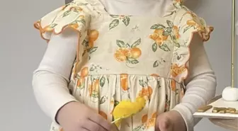 3 yaşındaki Rüveyda hayatını kaybetti, ailesi doktor ve hastane hakkında suç duyurusunda bulundu