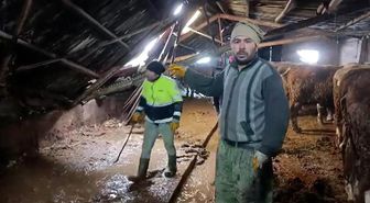 Ahırın çatısı yağan karın ağırlığını taşıyamadı, hayvanlar komşuların yardımıyla kurtarıldı