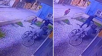 Çocukların gözü önünde köpeği katletti