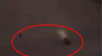 Karlı arazide otomobili ile drift yapan sürücü kamerada