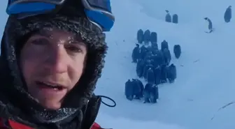 Vahşi yaşam ekibinden belgesel tarihine geçecek müdahale! Sosyal medya ikiye bölündü