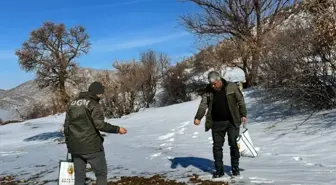 Batman'da kuşlar için doğaya yem bırakıldı