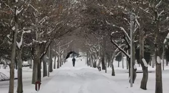 Elazığ'da kar yağışının ardından güzel manzaralar oluştu
