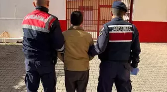 Firari şahıs Koçarlı'da yakalandı