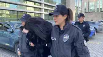 Hapis cezasıyla aranırken 'bulabiliyorsanız bulun' deyip polise hakaret eden şüpheli adliyede