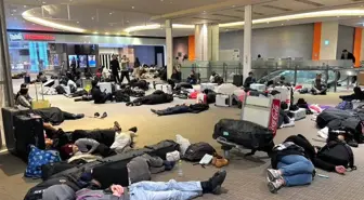 Japonya'da kar esareti