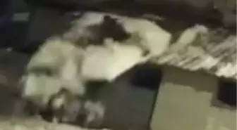 Kar kürerken çatıdan düştü; o anlar kamerada