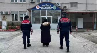 Kuyucak'ta terör örgütü üyesi yakalandı