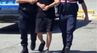 Muğla'da 67 şahıs gözaltına alındı