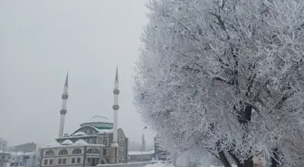 Van ve çevre illerde kar nedeniyle 25 yerleşim yerine ulaşılamıyor