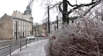 Albüm: Berlin'de Gizli Buzlanma Ulaşımı Olumsuz Etkiledi