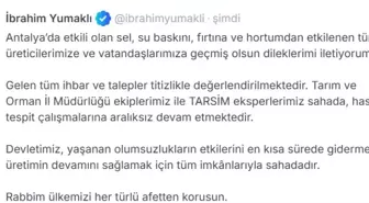Bakan Yumaklı: Antalya'da sel ve fırtına sonrası hasat tespit çalışmaları sürüyor
