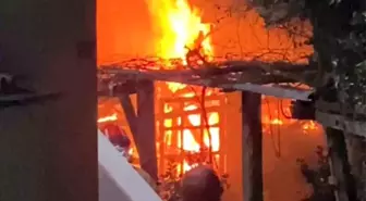 Bartın'da odunluk yangını paniğe neden oldu