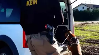 Bolu'da 14 adrese uyuşturucu operasyonu: 3 tutuklama