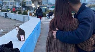 Bursa sahilinde ilginç fotoğraf çözümü: Tripod yerine kedi kullandılar