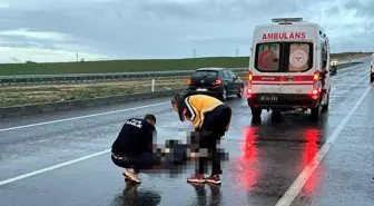 Edirne'de otomobilin çarptığı yaya öldü