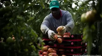 İspanya 500 bin belgesiz göçmene oturma izni veriyor