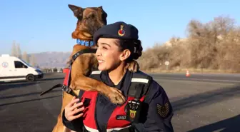 JAKEM'de görev köpekleri zorlu görevlere hazırlanıyor