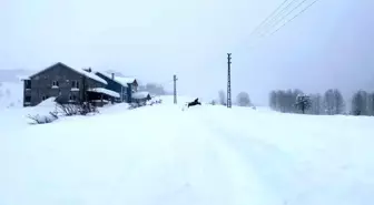 Karın tadını çıkarmak için İstanbul'dan Sivas'a akın ettiler