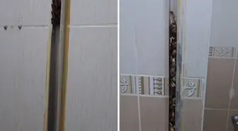 Öğrencilere kiraya verdiği eve giren kadın, gördüğü manzara karşısında sinir krizi geçirdi