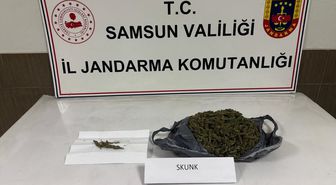 Samsun'da uyuşturucu operasyonunda 1 zanlı yakalandı