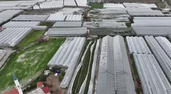 Seydikemer'de hortum, fırtına ve dolu seraları vurdu: 100 dönüm zarar
