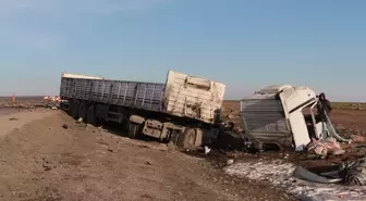 Şırnak'ta 2 tırın çarpıştığı kazada, sürücüler yaralandı