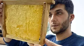 Araban'da üretilen bala yoğun talep