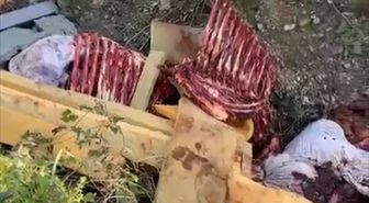 At kestikleri öne sürülen 2 şüpheli, operasyonla yakalandı