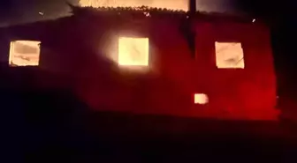 Bilecik'te korkutan yangın