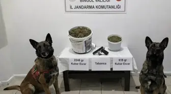 Bingöl'de uyuşturucu operasyonunda 3 şüpheli yakalandı