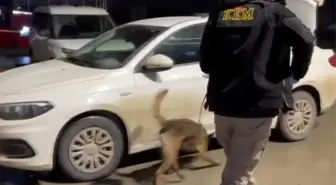 Binlerce uyuşturucu hap ele geçirildi: 3 kişi tutuklandı