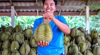 Çin'in Wuhan Kentiyle Tayland'ın Başkenti Bangkok Arasında Yeni Direkt Hava Kargo Rotası Açıldı