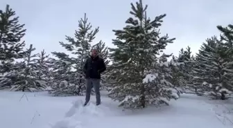 Dondurucu soğuğa aldırış etmeden akarsuya girdi