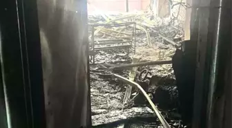 Ece Güney'in evi sevgilisi tarafından ateşe verildi