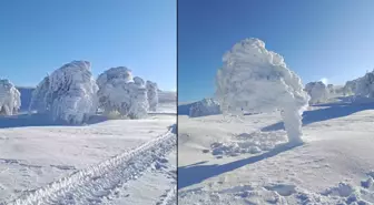 Görüntüler İstanbul'un yanı başından