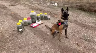 Karaman'da uyuşturucu operasyonu: 1 gözaltı